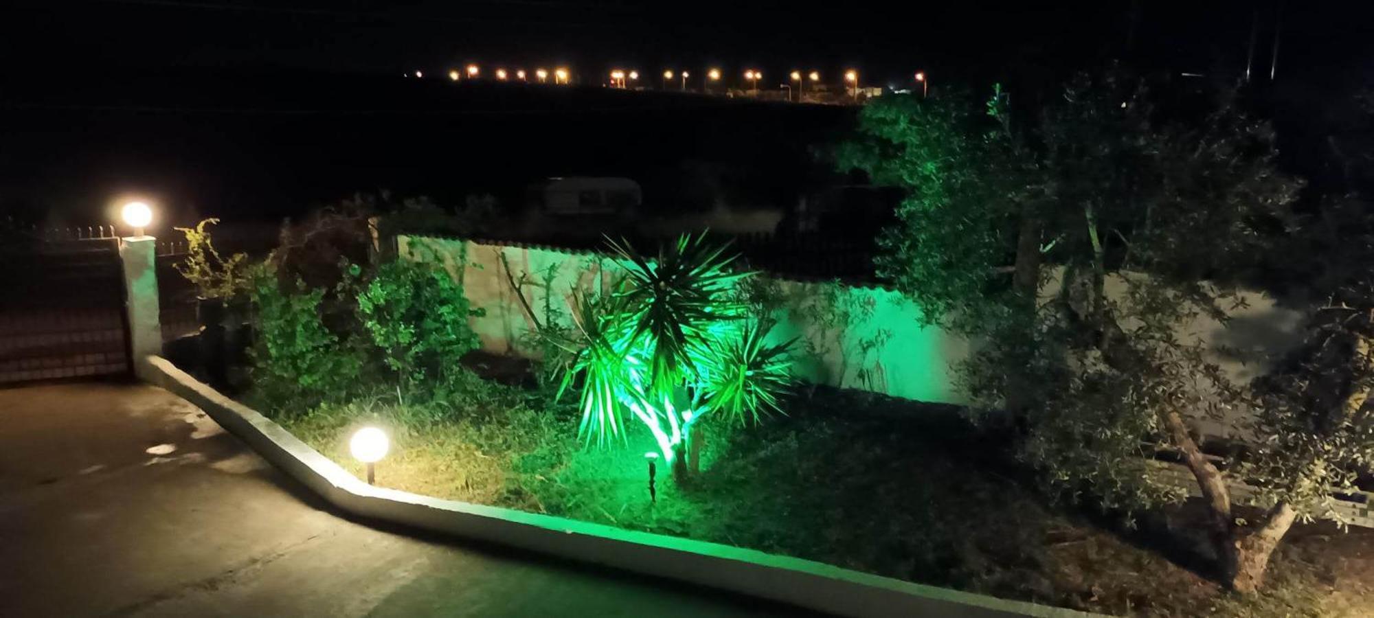 Holiday home In Olive Grove
