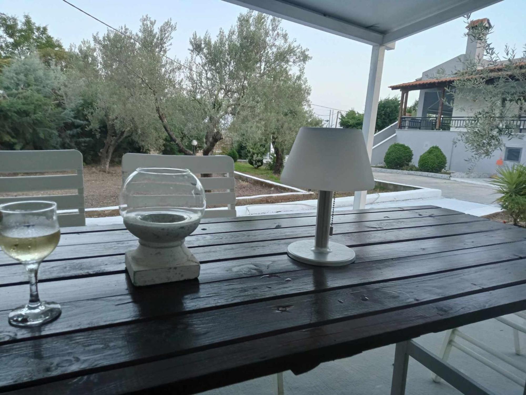 In Olive Grove * Gerakini